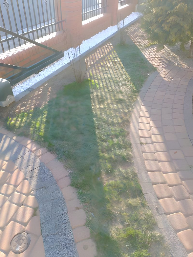 Wygięta ścieżka przez ogród